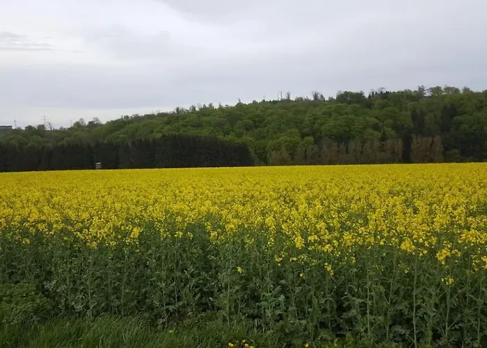 Διαμέρισμα Wegeners